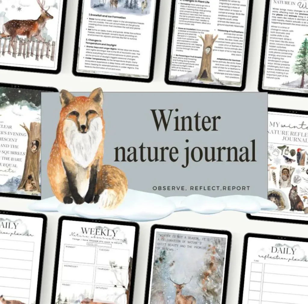 winter nature journal for kids