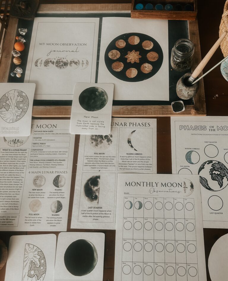 Free Moon Phase Flashcards for Your Little Learners